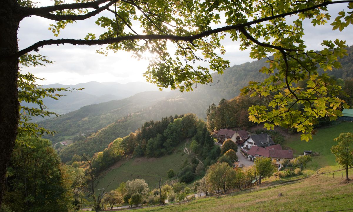 Image of Logis Auberge Du Mehrbachel - Hôtel & Restaurant