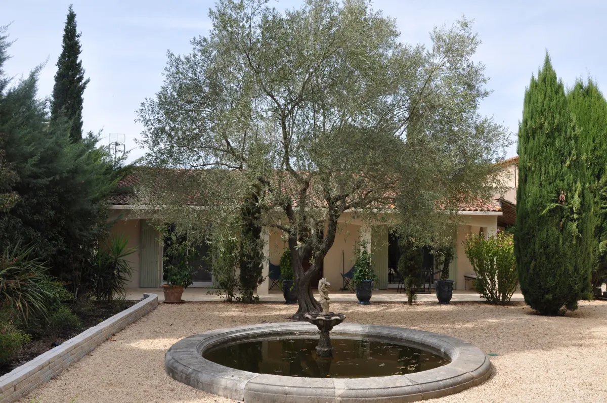 Image of Chambres d'hôtes sous l'olivier