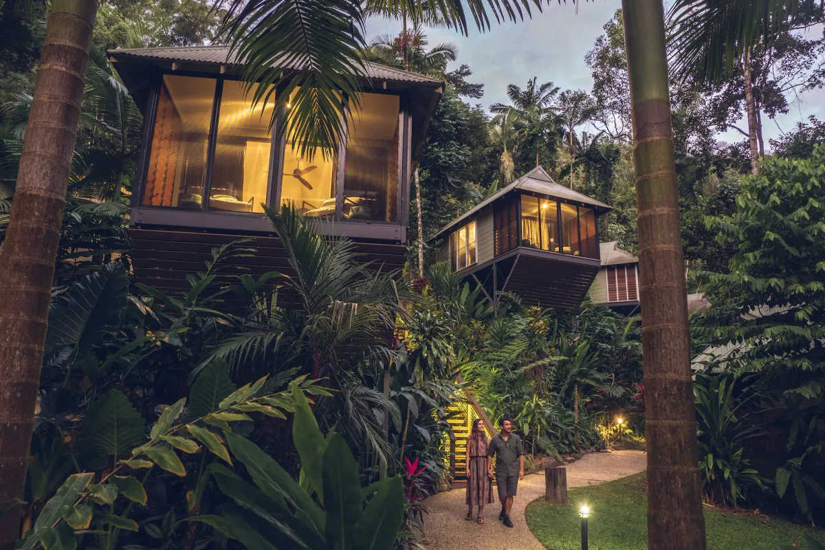 Image of Daintree Ecolodge