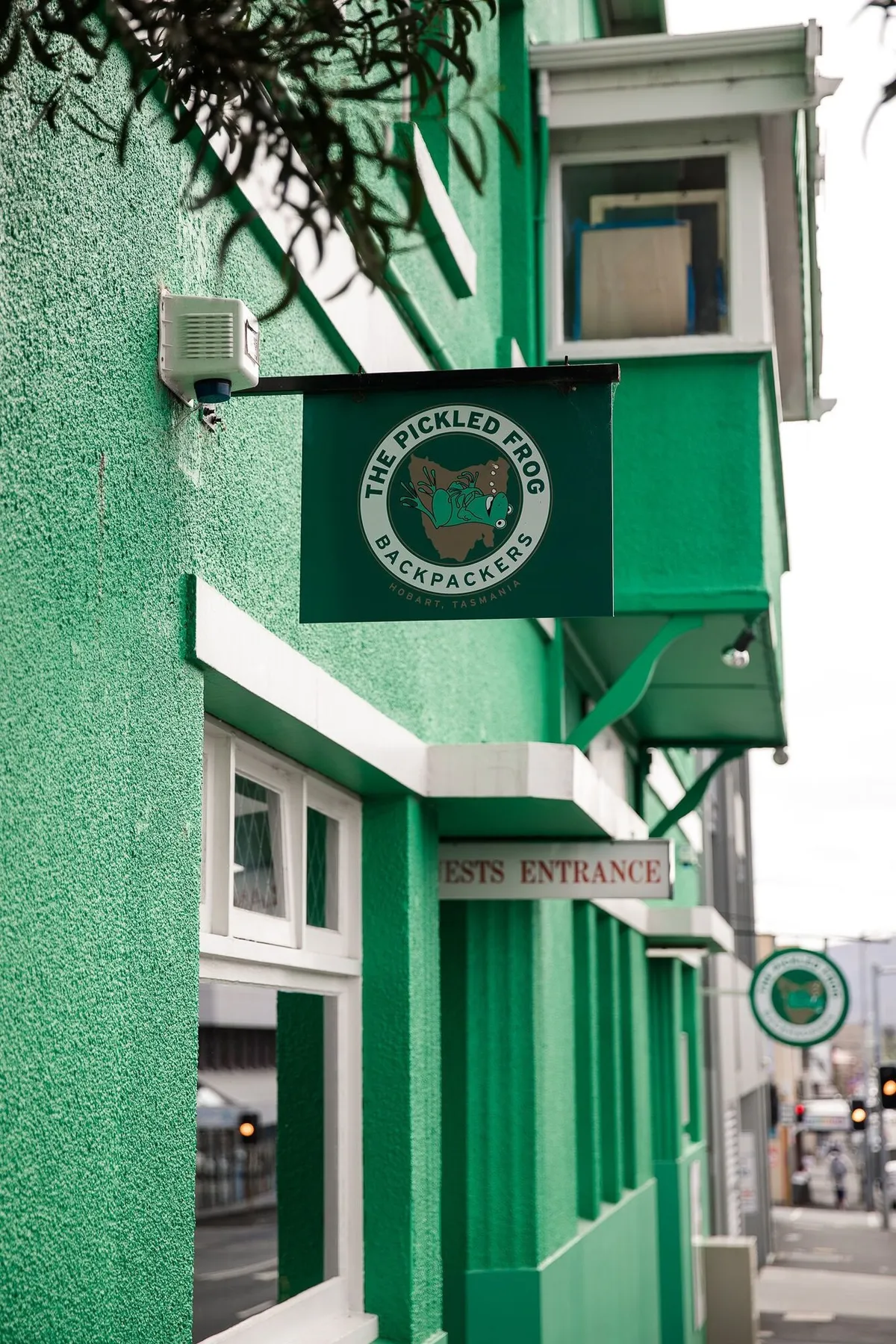 Image of The Pickled Frog