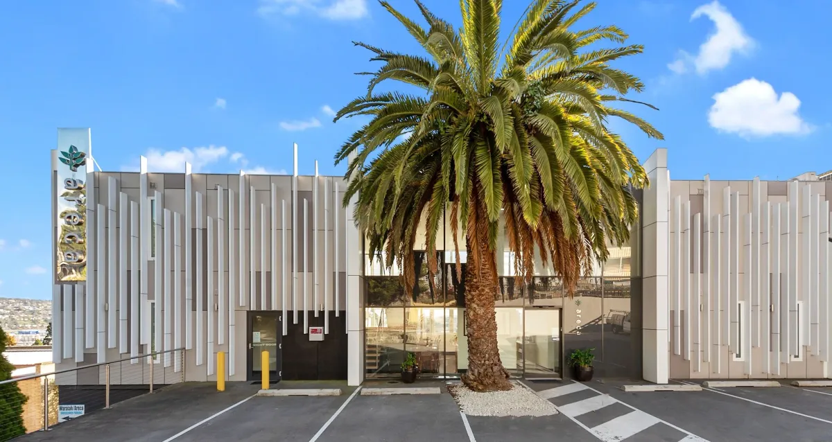 Image of Areca Launceston