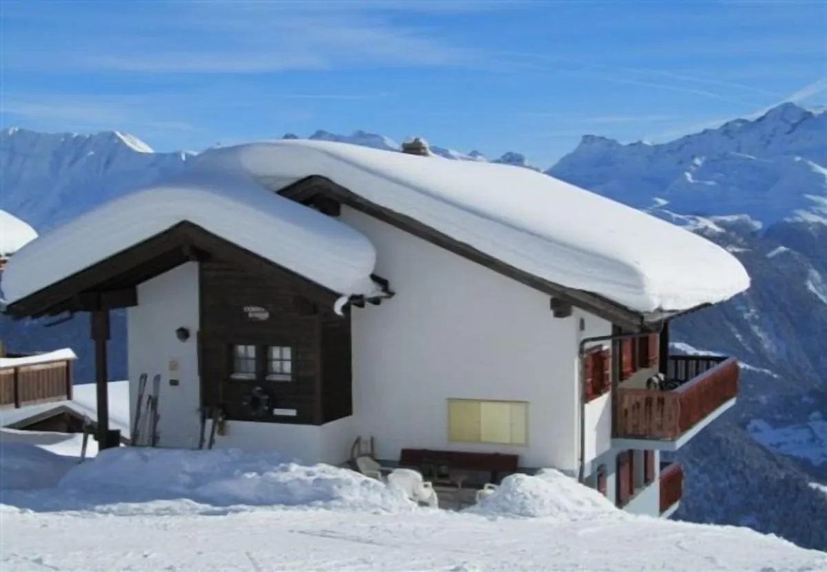 Image of Vitula