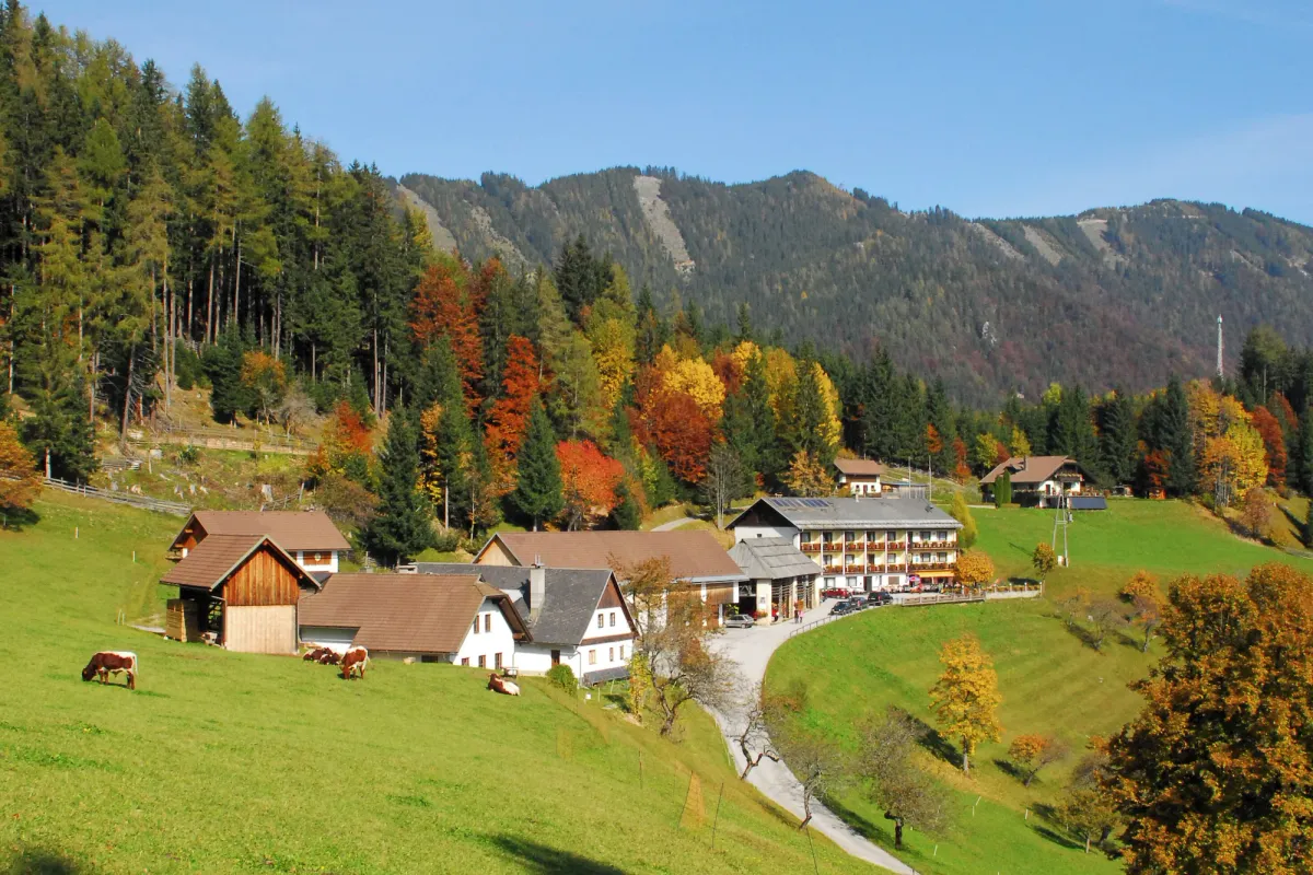 Image of Bed&Breakfast Lausegger