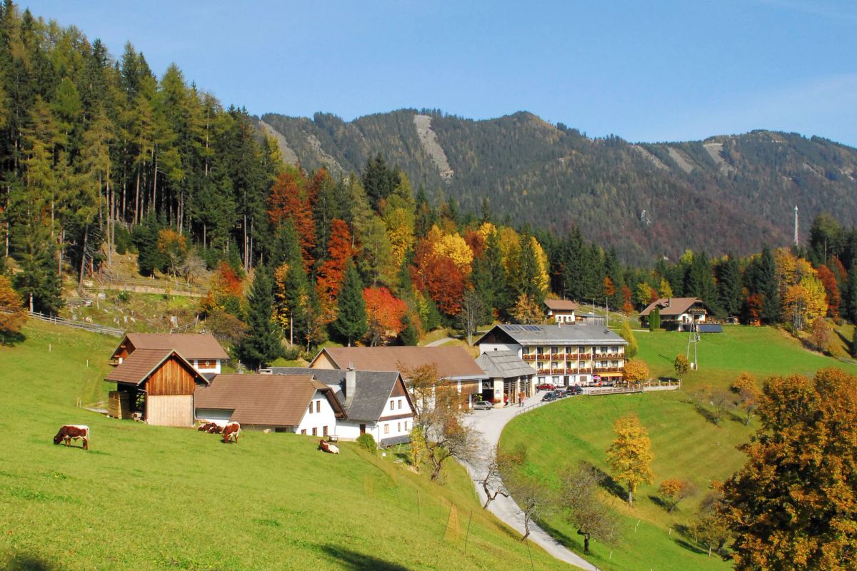 Image of Bed&Breakfast Lausegger