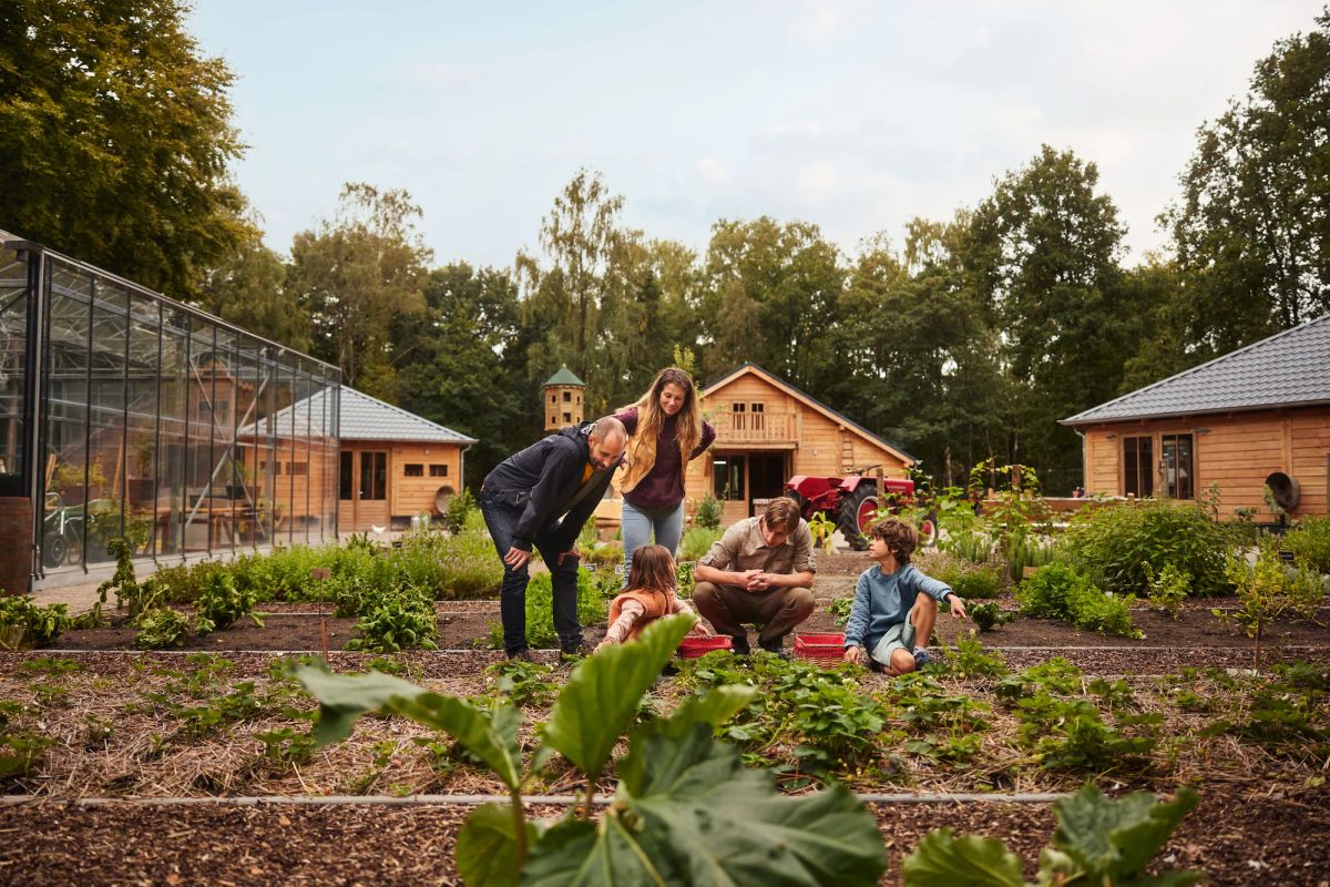 Image of Center Parcs Meerdal Limburg-Brabant