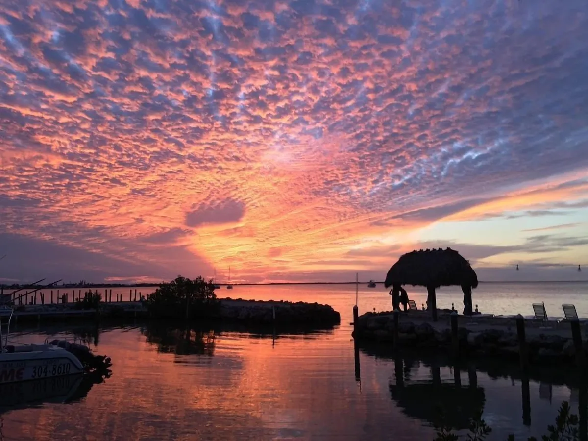 Image of Amoray Dive Resort