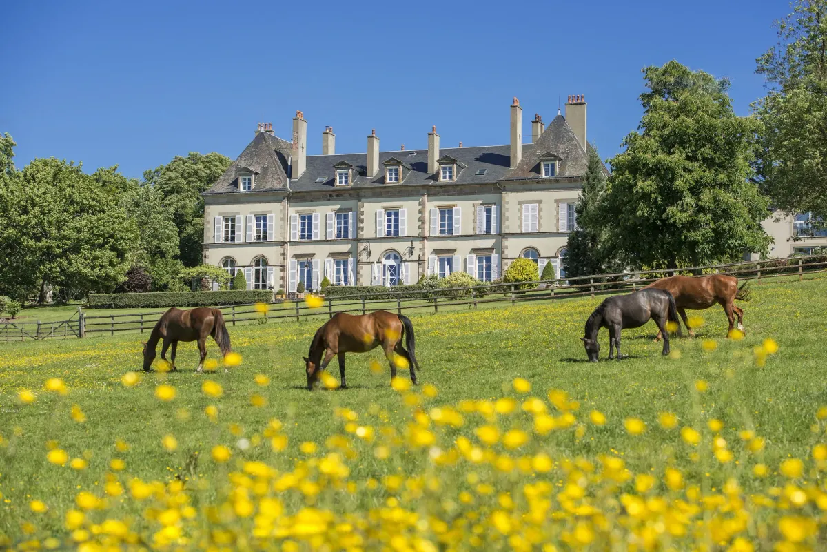Image of Château d'Ygrande - Teritoria