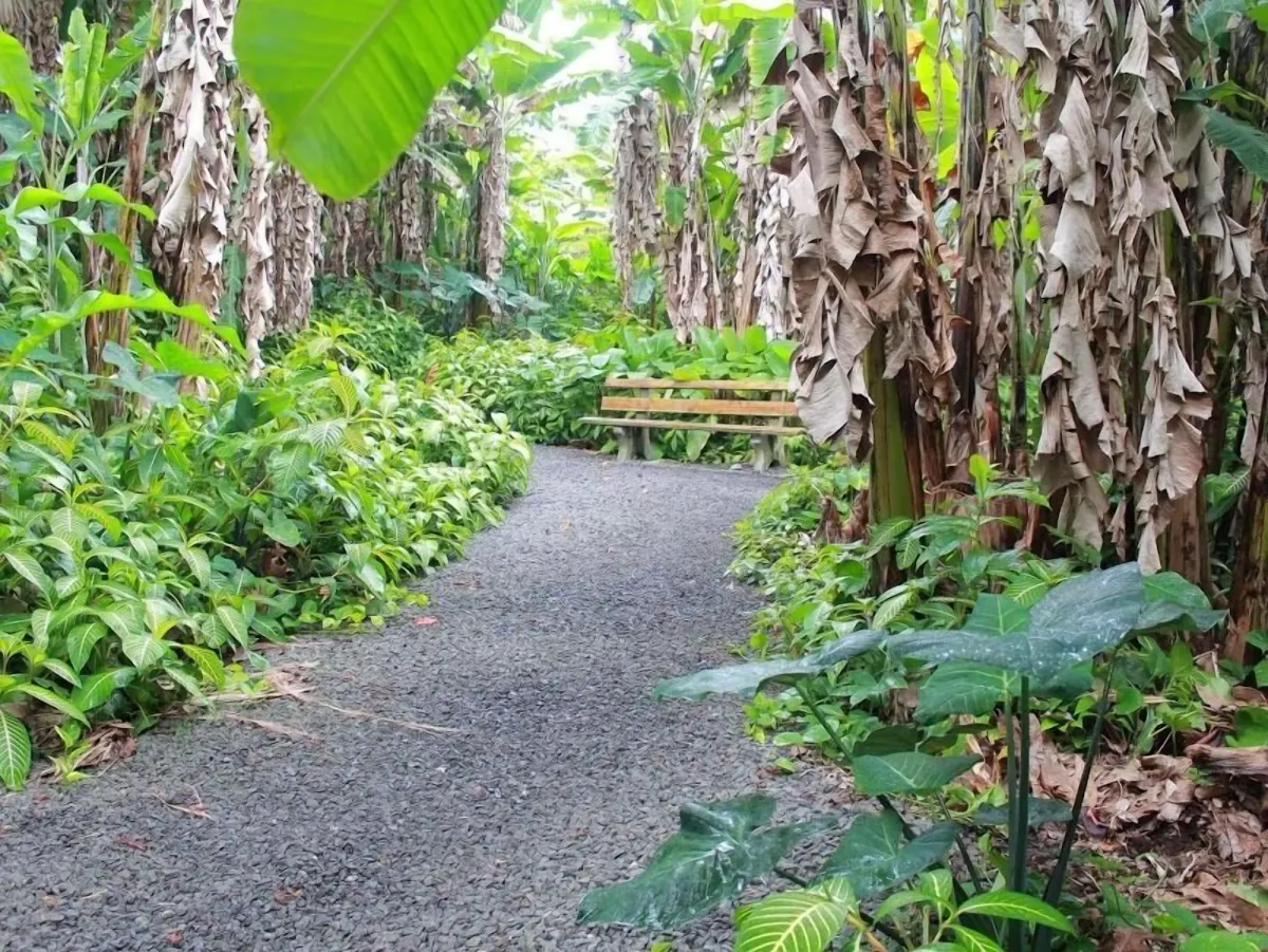 Image of Dolphin Bay Hotel