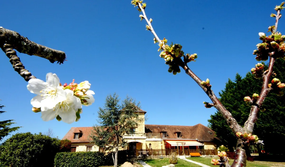 Image of Logis hotel-restaurant les collines 59 route des crêtes