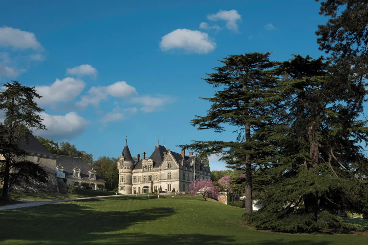 Image of Château De La Bourdaisière