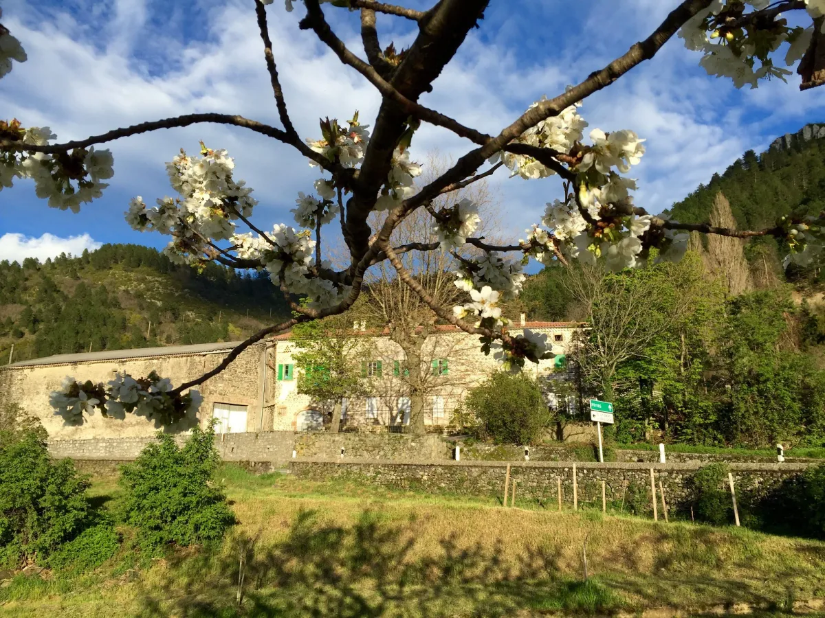 Image of Moulin A