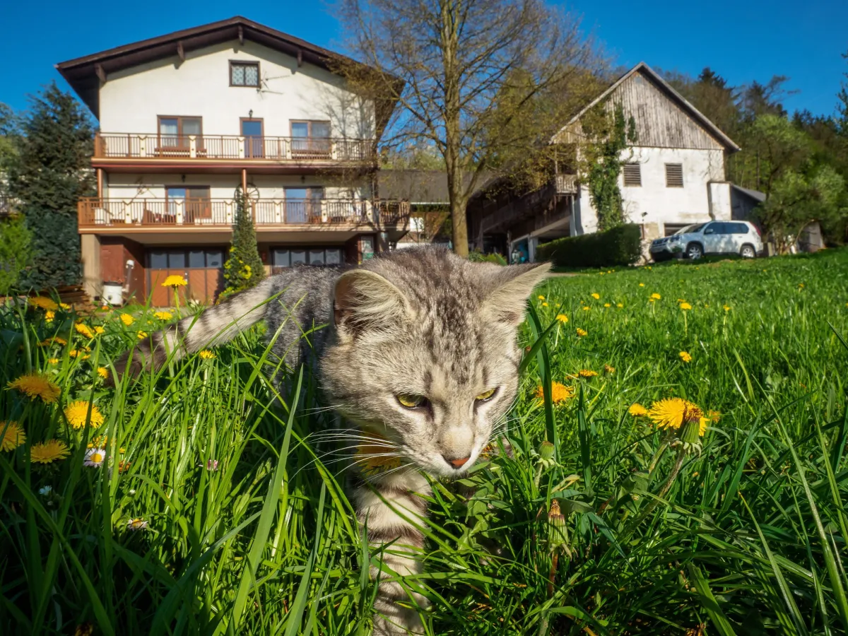 Image of Bauernhof Waira