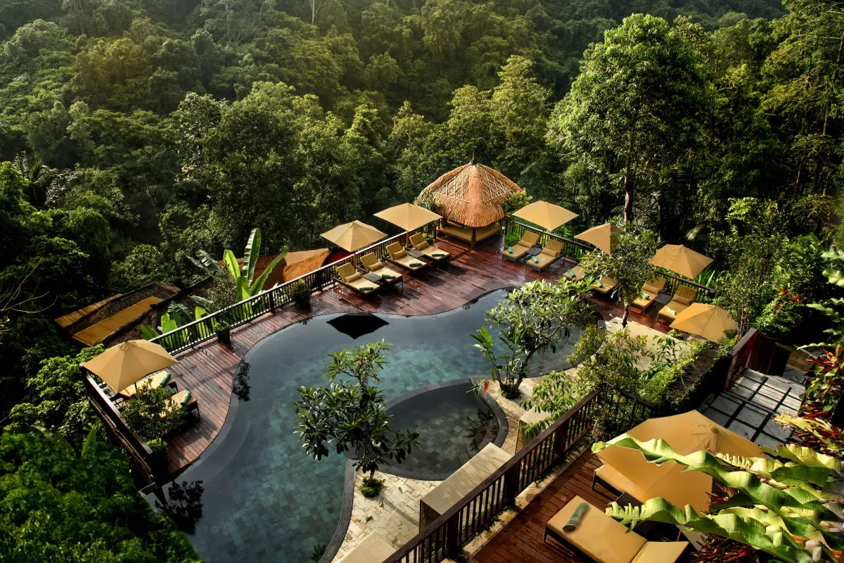 Image of Nandini Jungle by Hanging Gardens
