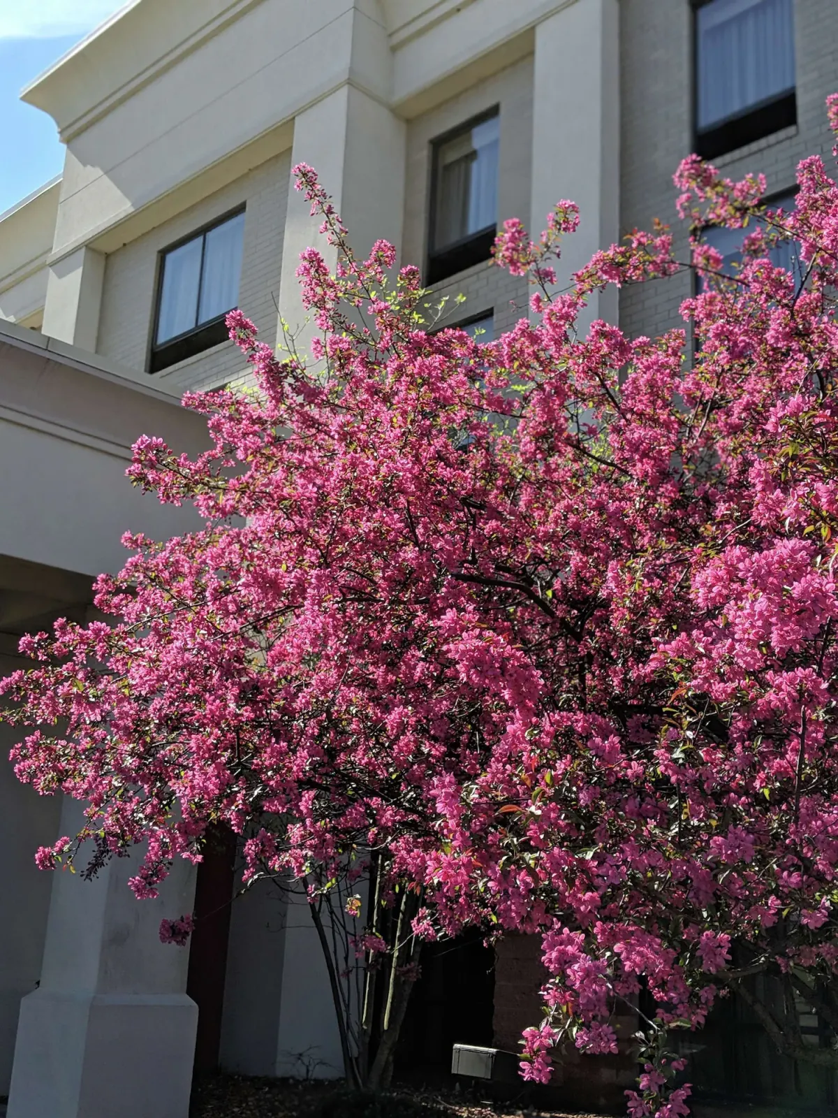 Image of Hampton Inn & Suites Cincinnati-Union Center