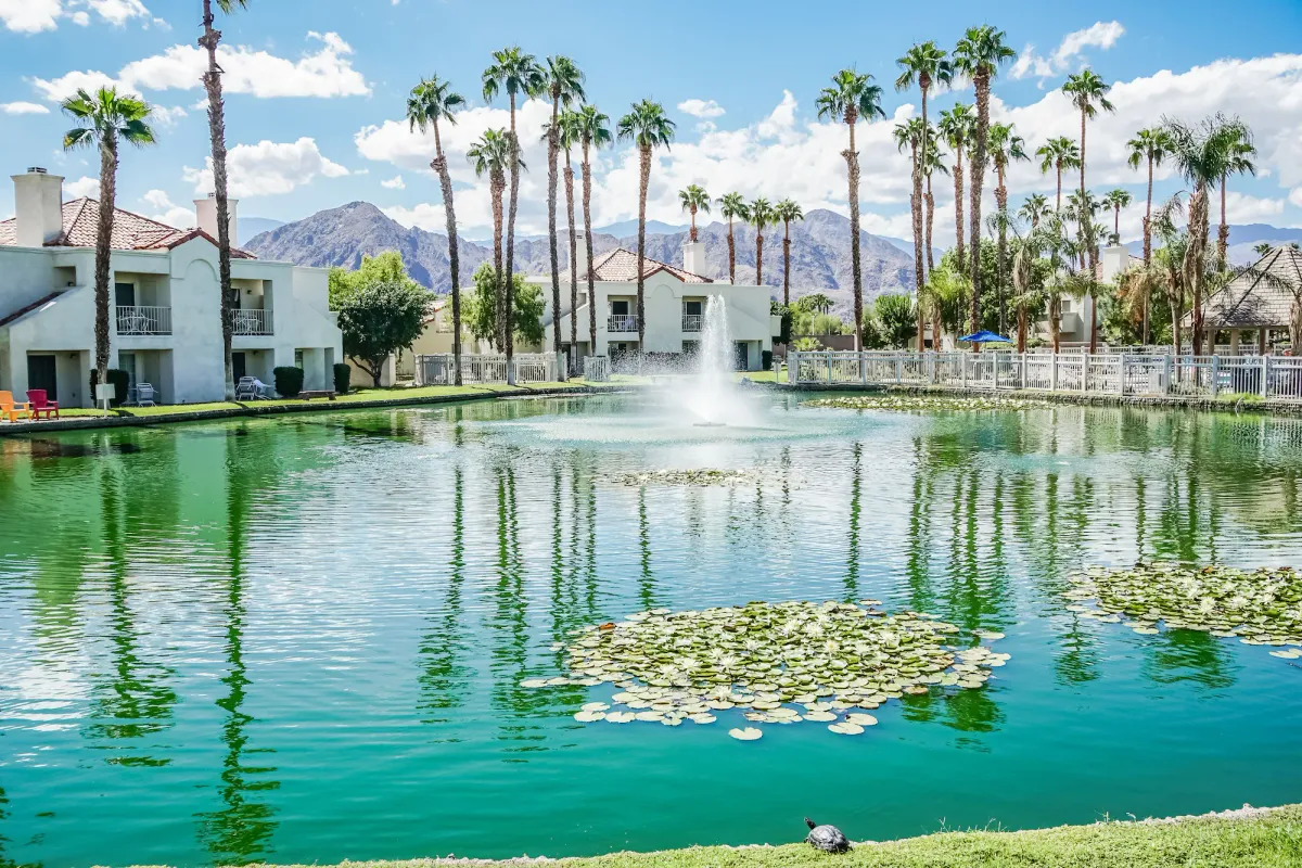 Image of Desert Breezes Resort