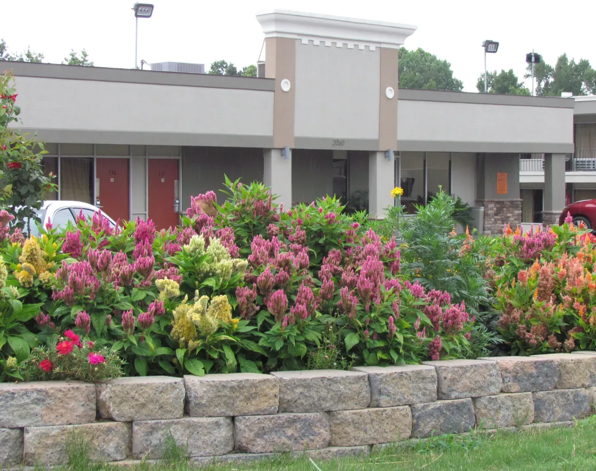 Image of Red Carpet Inn - Augusta