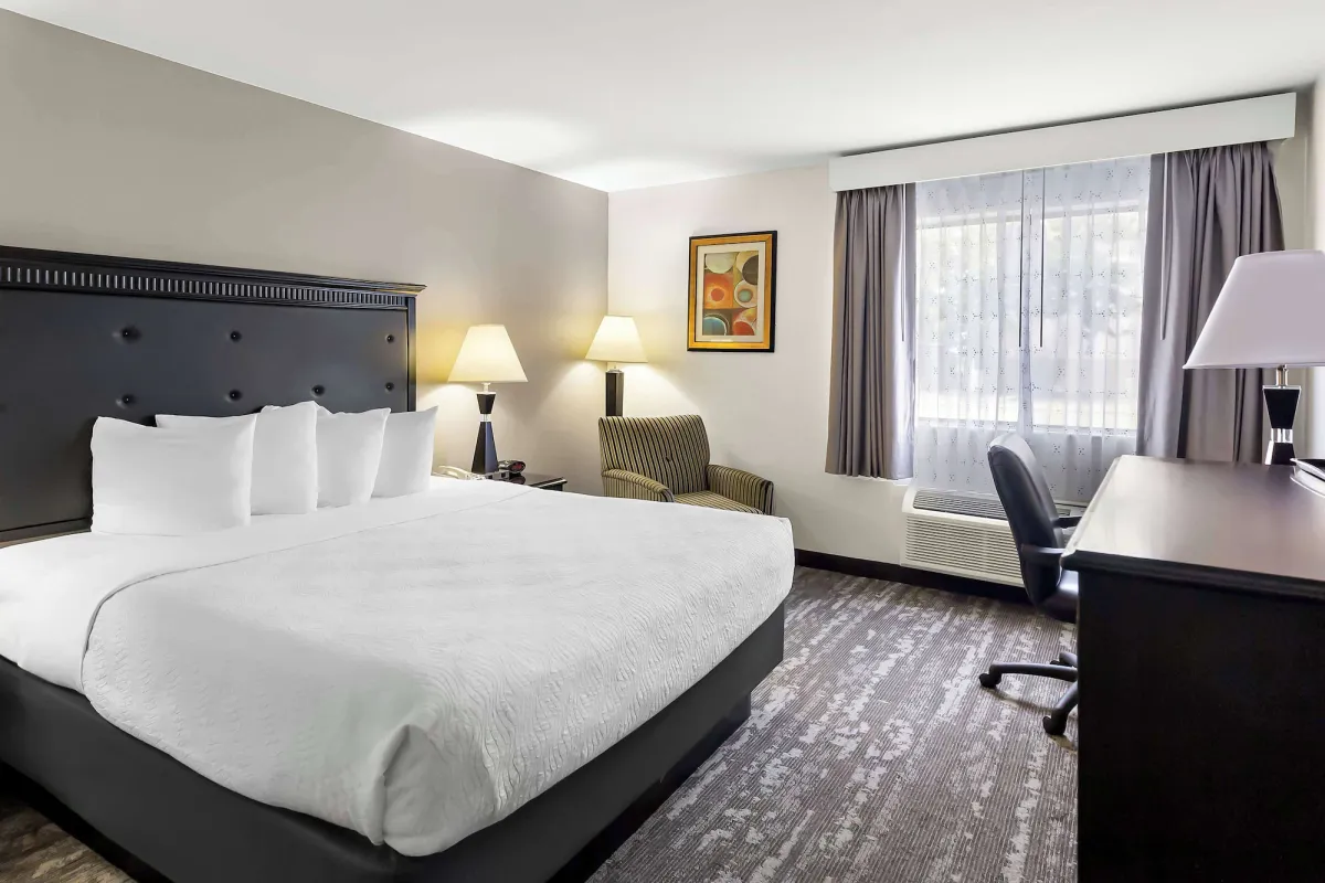 Image of Best Western Saluki Inn