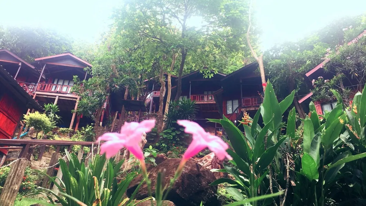 Image of Phi Phi Green Hill Resort