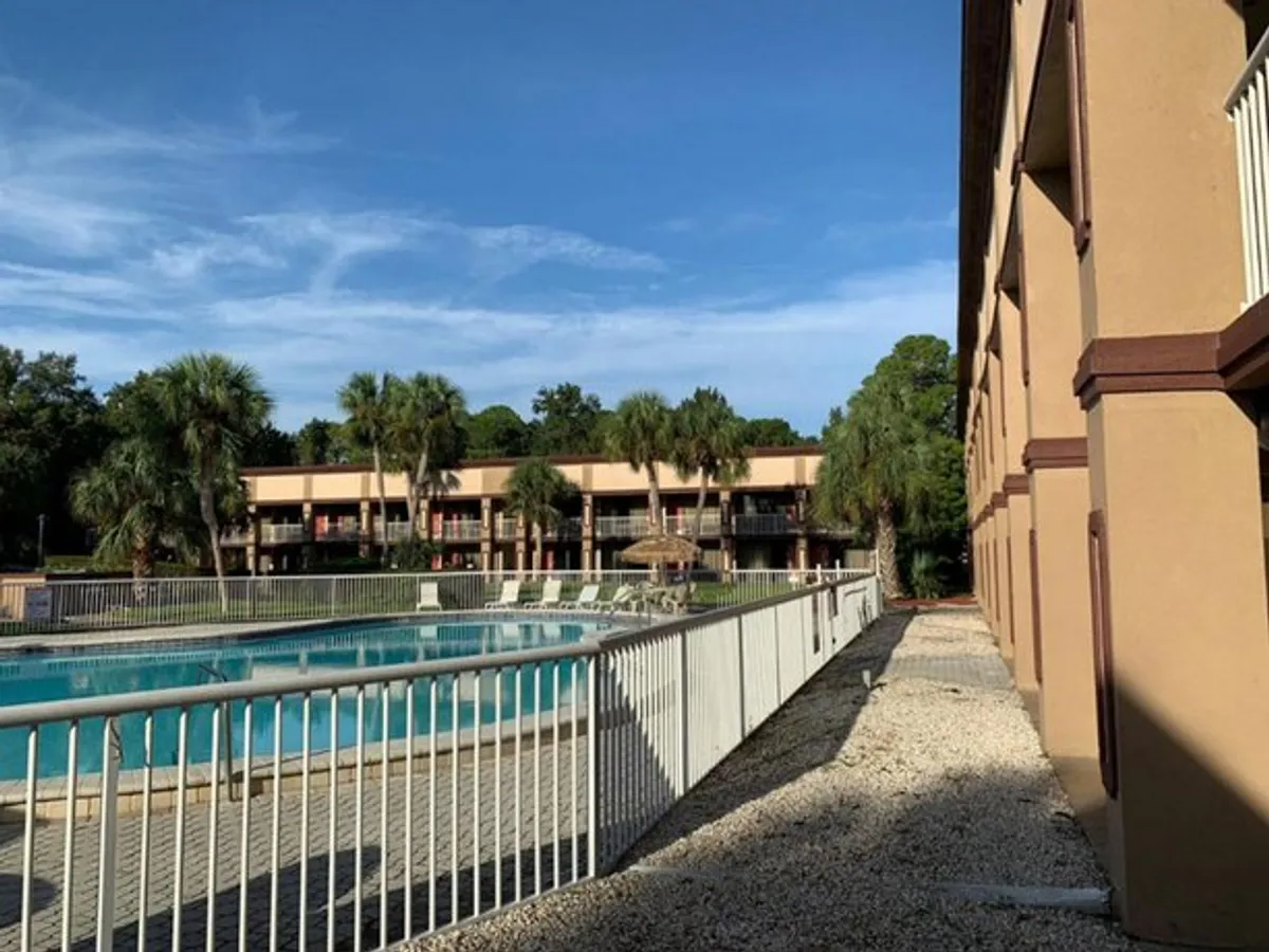 Image of Bella Oasis