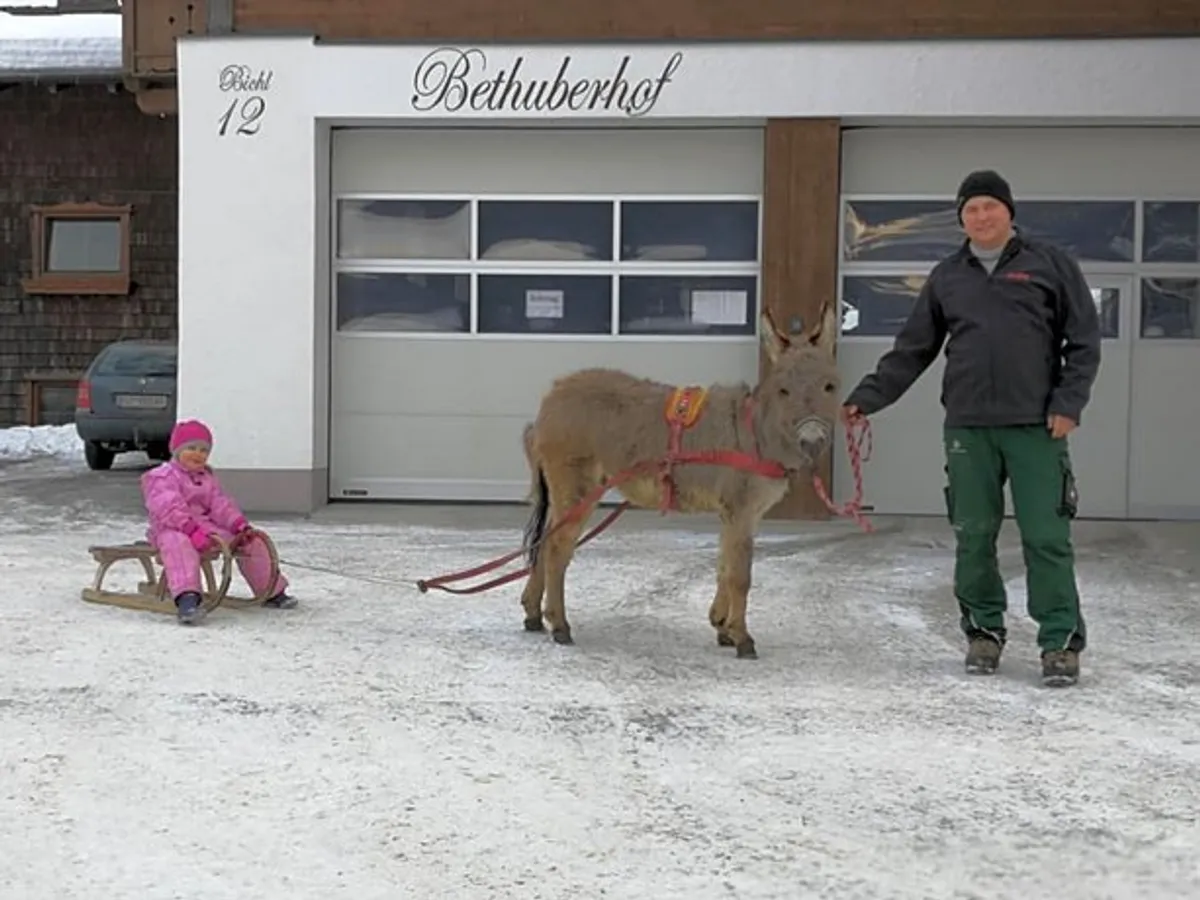 Image of Bauernhof Bethuber