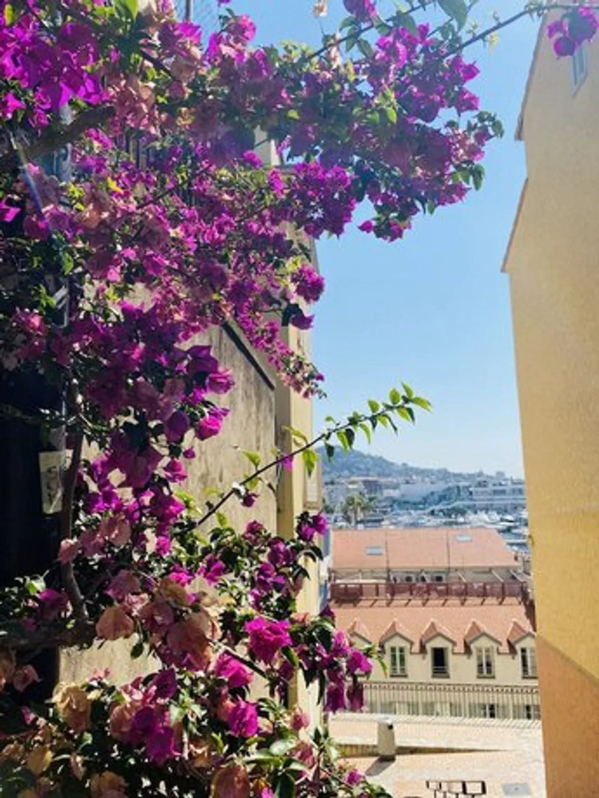 Image of Holiday Inn Cannes