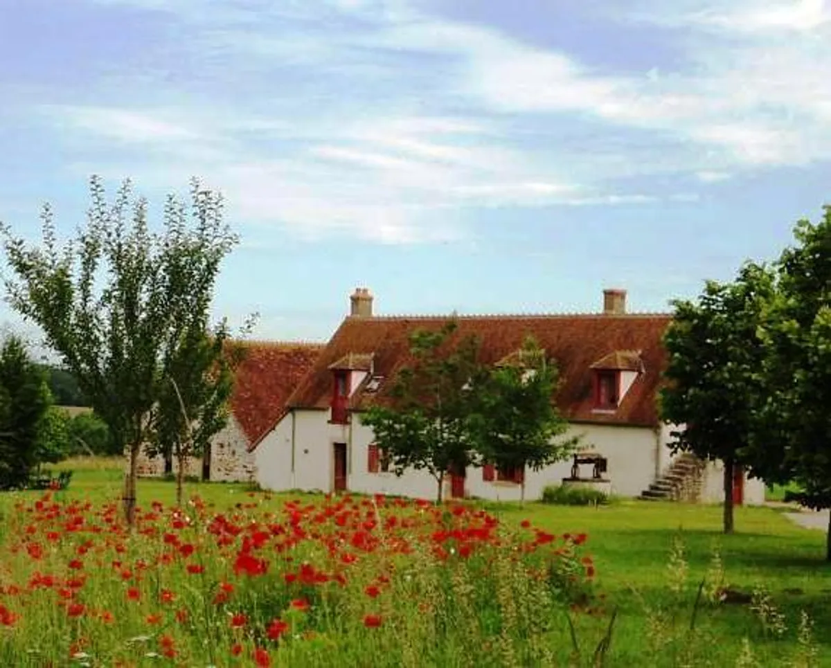 Image of La Tour de Bouis
