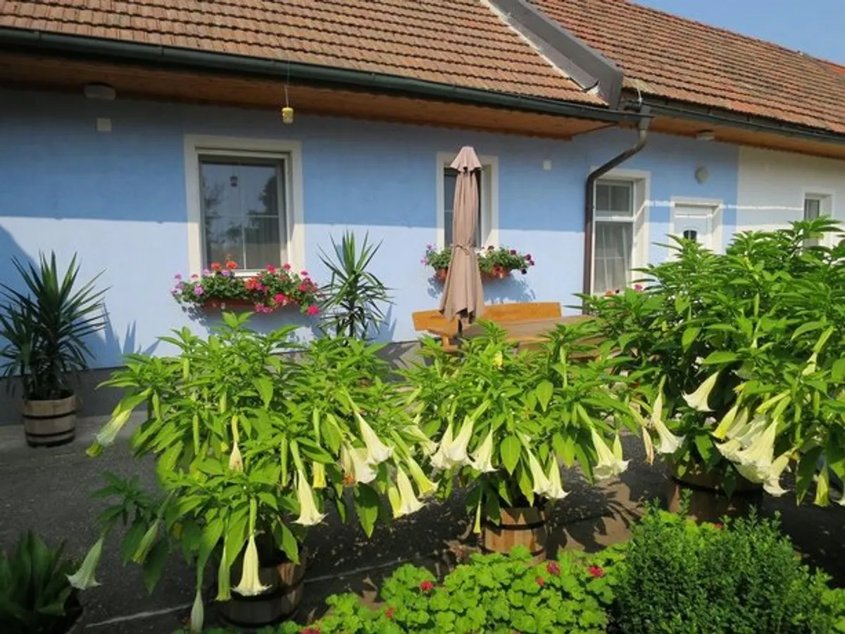 Image of Ferienwohnungen Sattler