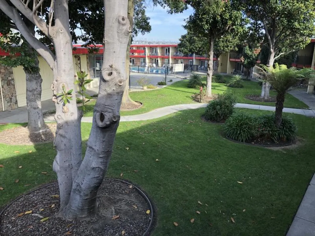 Image of Econo Lodge Inn & Suites Oakland Airport