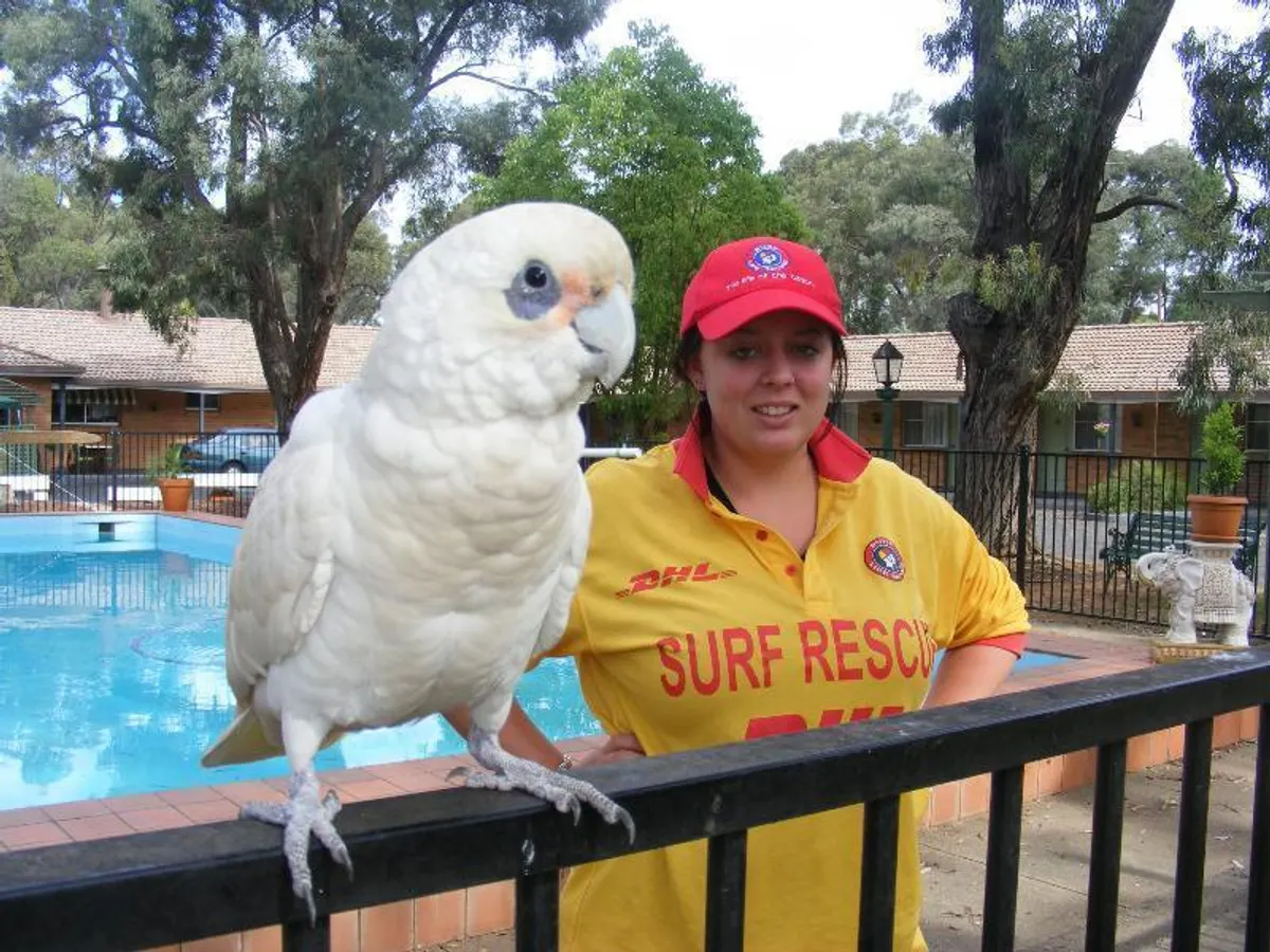 Image of Matthew Flinders Motor Inn