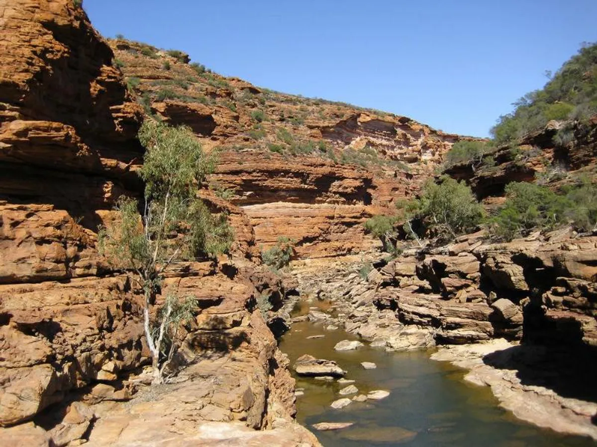 Image of Kalbarri Palm Resort