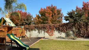 Image of Sequoia Neighbor\/Home Away From Home