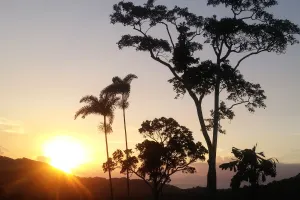 Image of Daintree Holiday Homes - Yurara