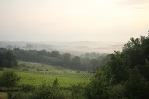 Image of Le Verger de l'Entre2Mers, gîte le Cosy 2 to 4 pers.
