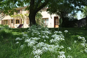 Image of Drome Provencale house