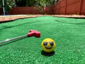 Image of The Ashely Fun House - Tampa Bay