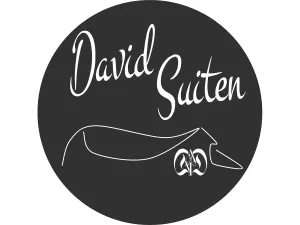 Image of DAVID SUITEN