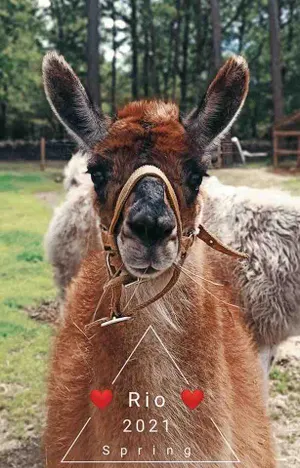 Image of Le Perchoir