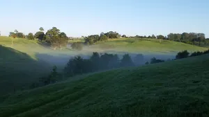 Image of Maleny Clover Cottages (Cottage Two)