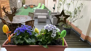 Image of Gite Edelweiss à Eguisheim