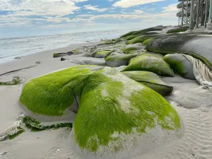 Image of Views from above… Historic Downtown Wilmington by “ Easy Living By The Water”.