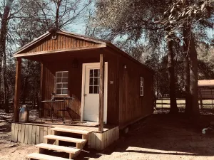 Image of Pretty horse cabin in the woods