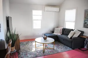 Image of The Color POP!