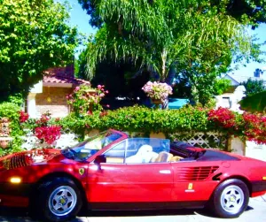 Image of Beautiful Spanish style home- Garden. Fremont, California.