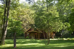 Image of Blue Moon Log Cabin