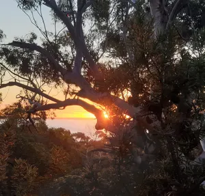 Image of Relaxing family friendly Villa w/spa & BBQ located on K'gari- Fraser Island