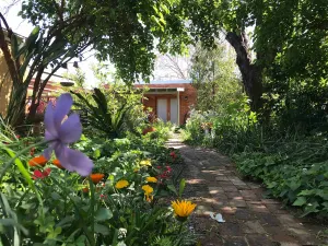 Image of CBD luxury - near cafes, parks & art. Free bikes