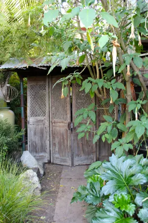 Image of Unique Garden Apt. in Berkeley