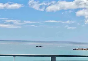 Image of ☀️SUMMER HOUSE☀️