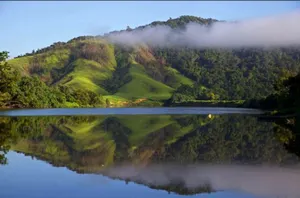 Image of Egrets Rest
