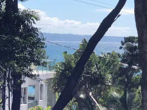 Image of A Little Cove treasure, Noosa Heads